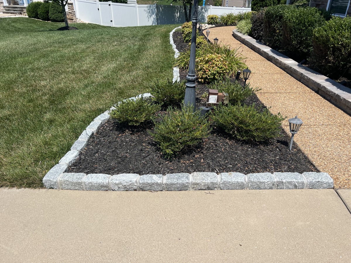 Walkway and patio detail