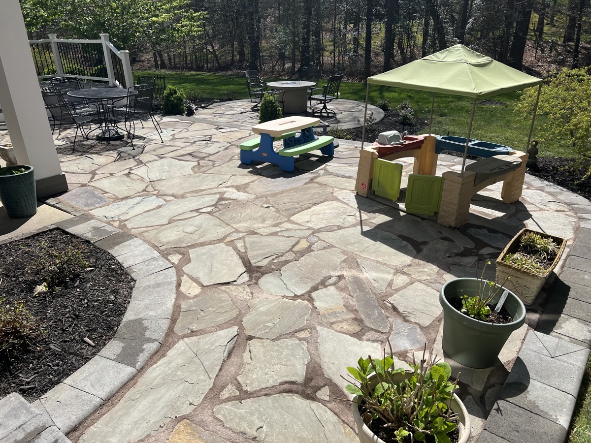 Graded yard with new plantings